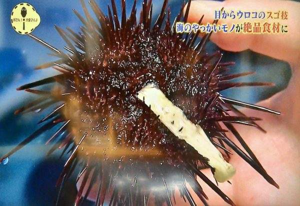 圖片7 圖片7