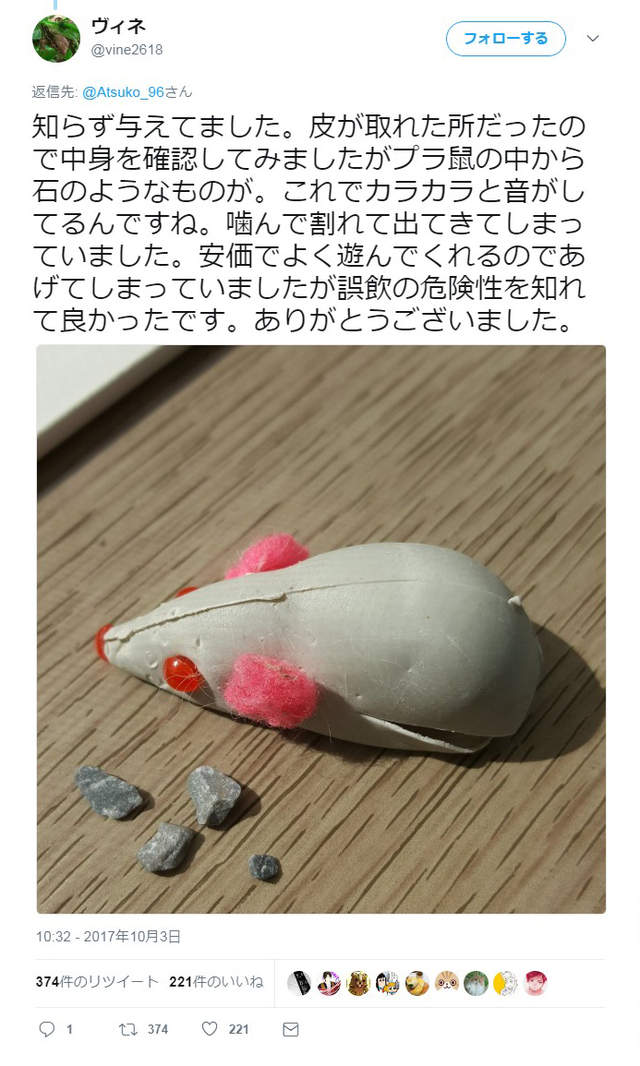 圖片5 圖片5