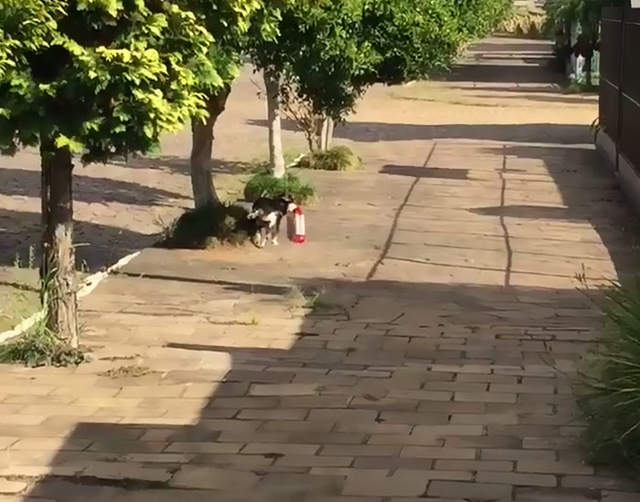 圖片4 圖片4