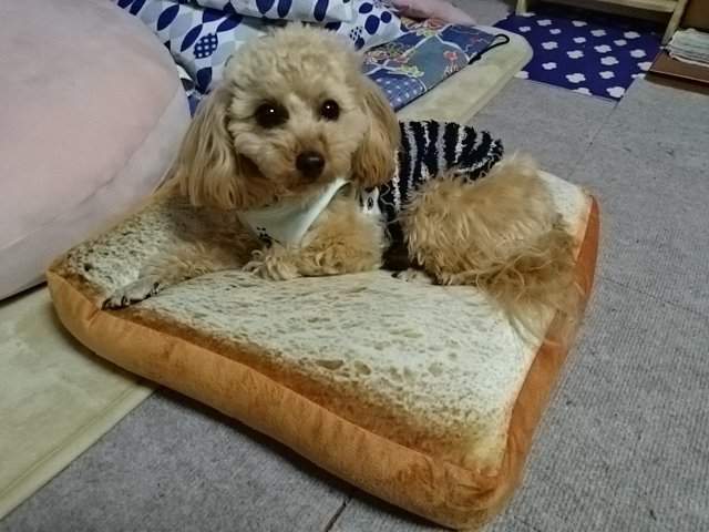 圖片7 圖片7