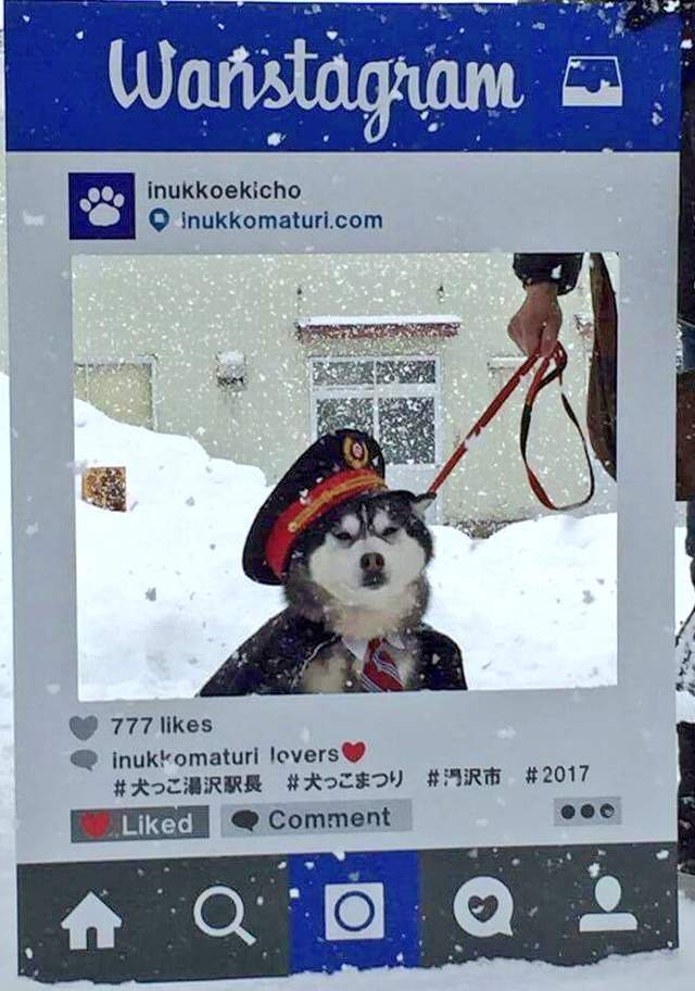 圖片6 圖片6
