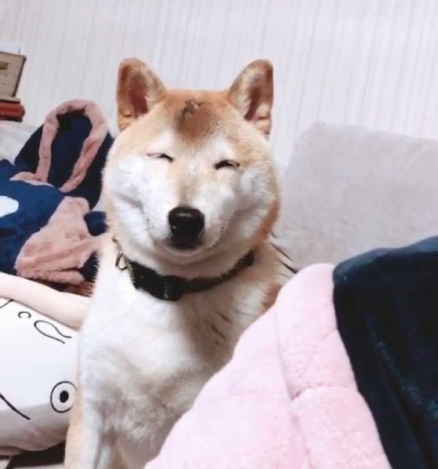 圖片7 圖片7