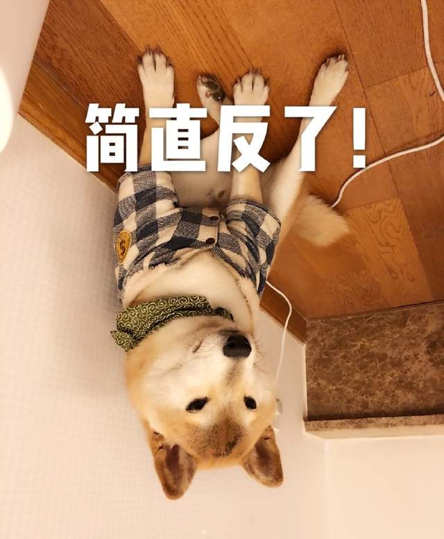圖片9 圖片9