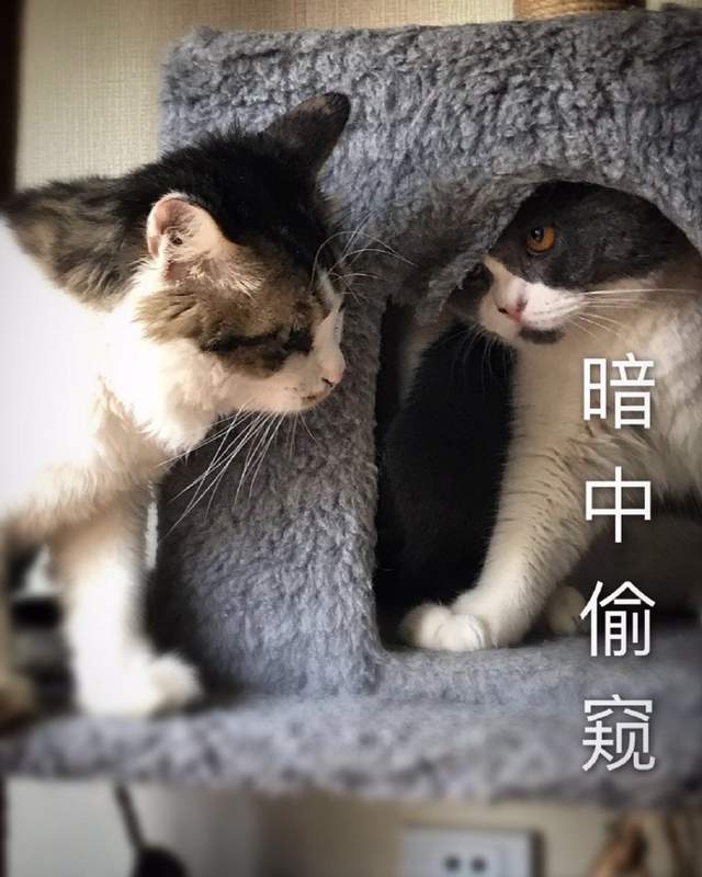 圖片8 圖片8