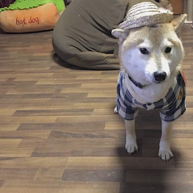 圖片5 圖片5