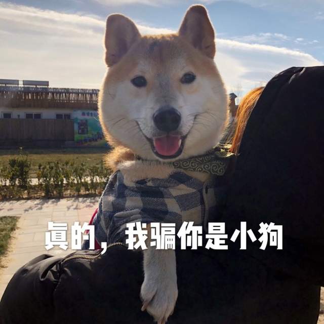 圖片10 圖片10