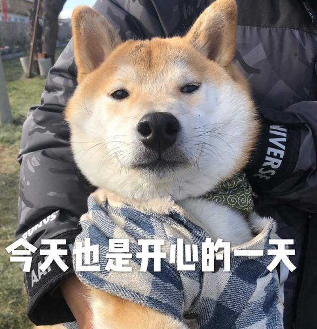 圖片11 圖片11
