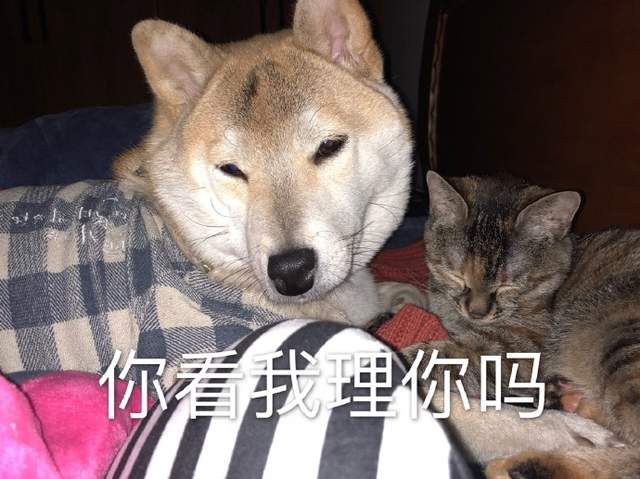 圖片12 圖片12