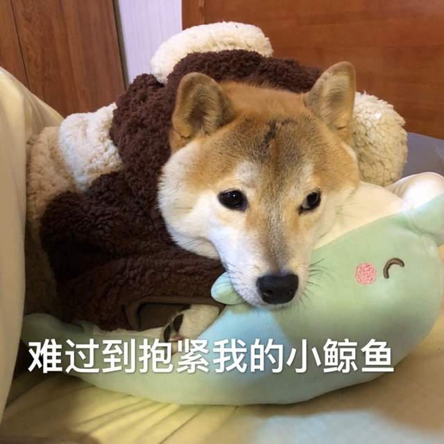 圖片13 圖片13