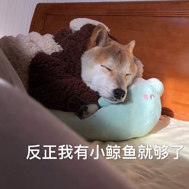 圖片14 圖片14