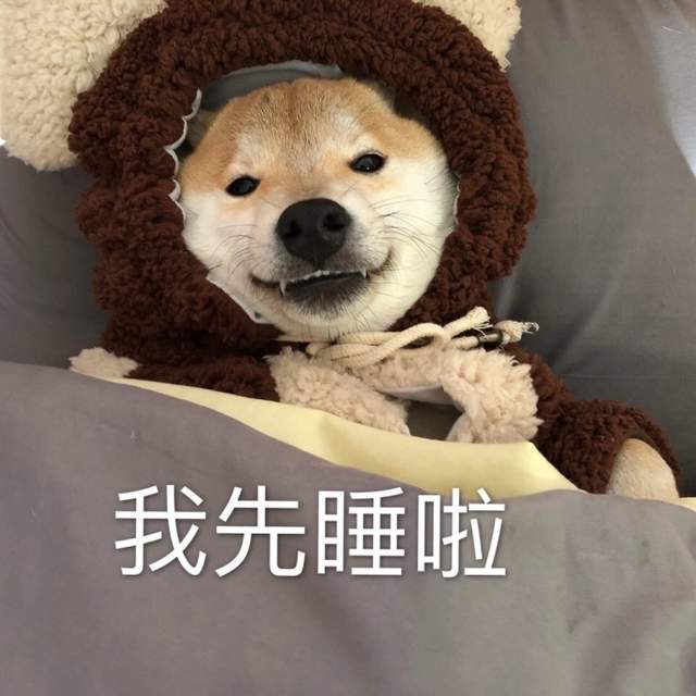 圖片15 圖片15