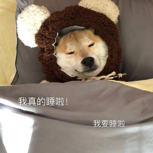 圖片16 圖片16