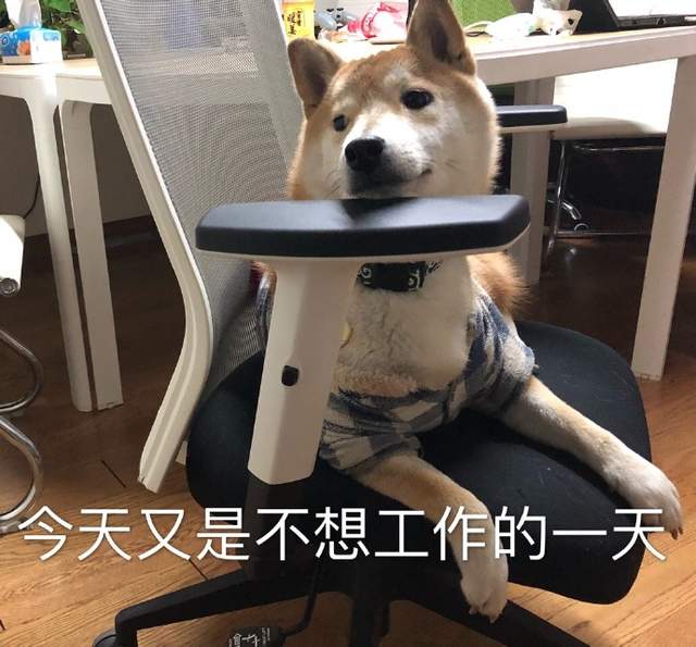 圖片17 圖片17