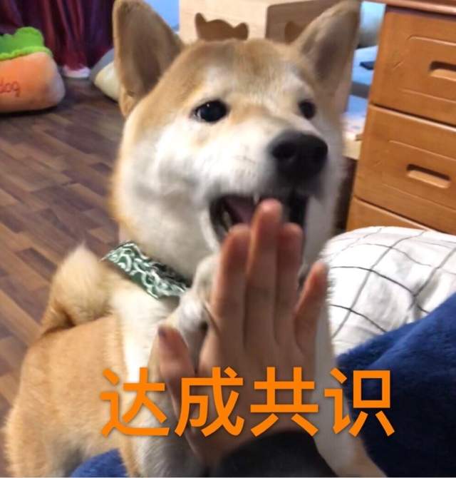 圖片18 圖片18