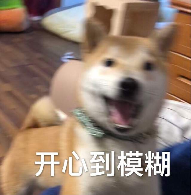 圖片19 圖片19