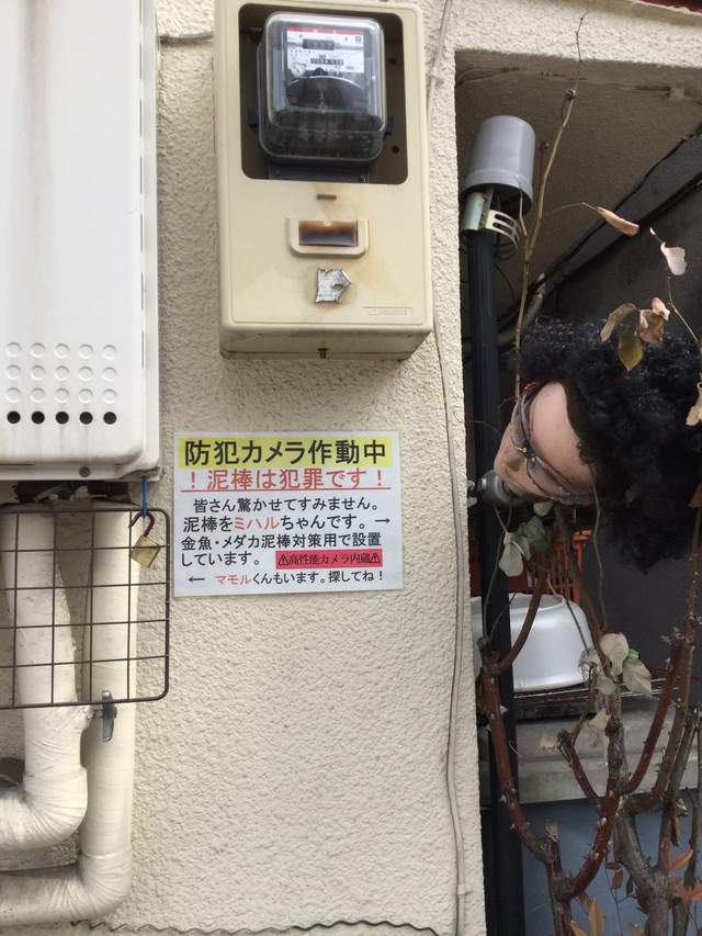 圖片4 圖片4