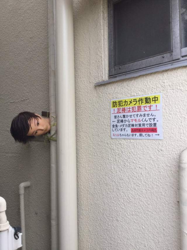 圖片5 圖片5