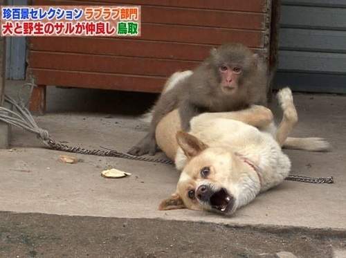 圖片8 圖片8