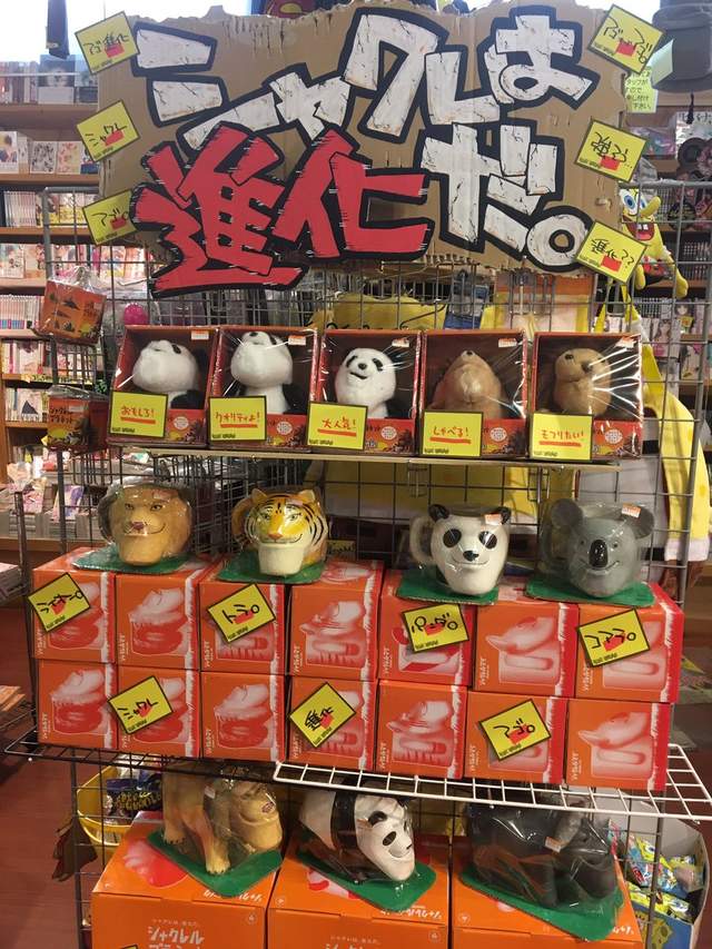 圖片4 圖片4