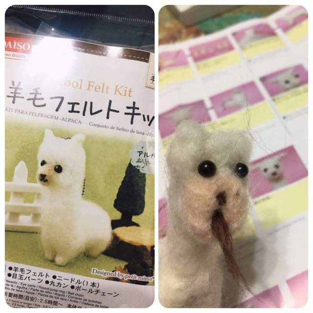 圖片8 圖片8