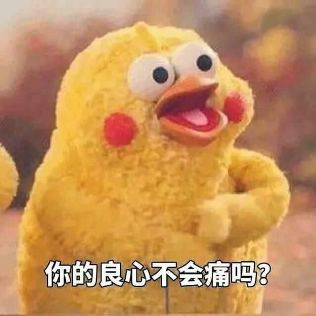 圖片16 圖片16