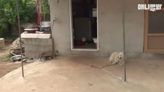 圖片5 圖片5