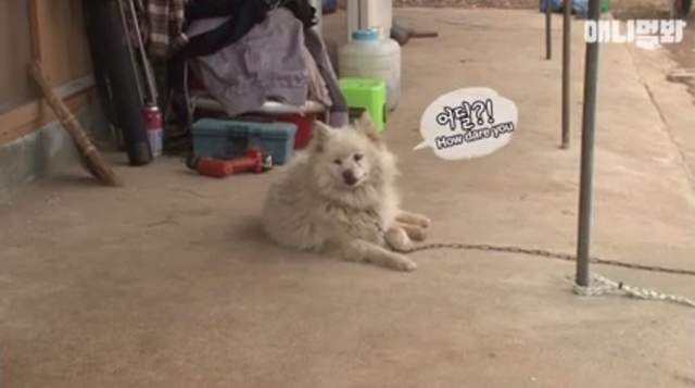 圖片6 圖片6