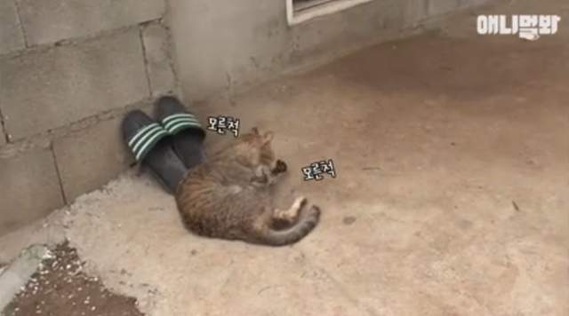 圖片7 圖片7
