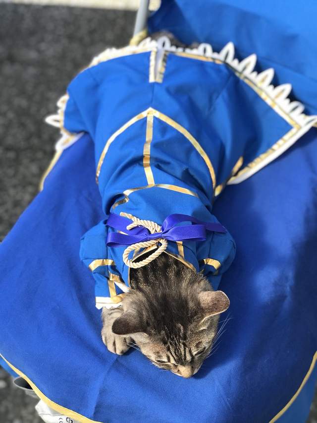 圖片4 圖片4