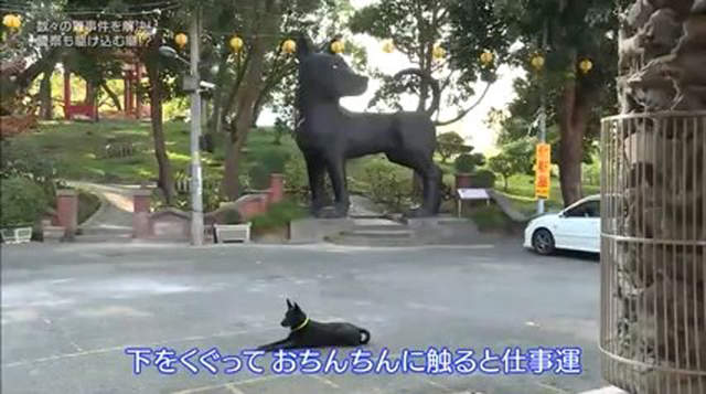 圖片20 圖片20