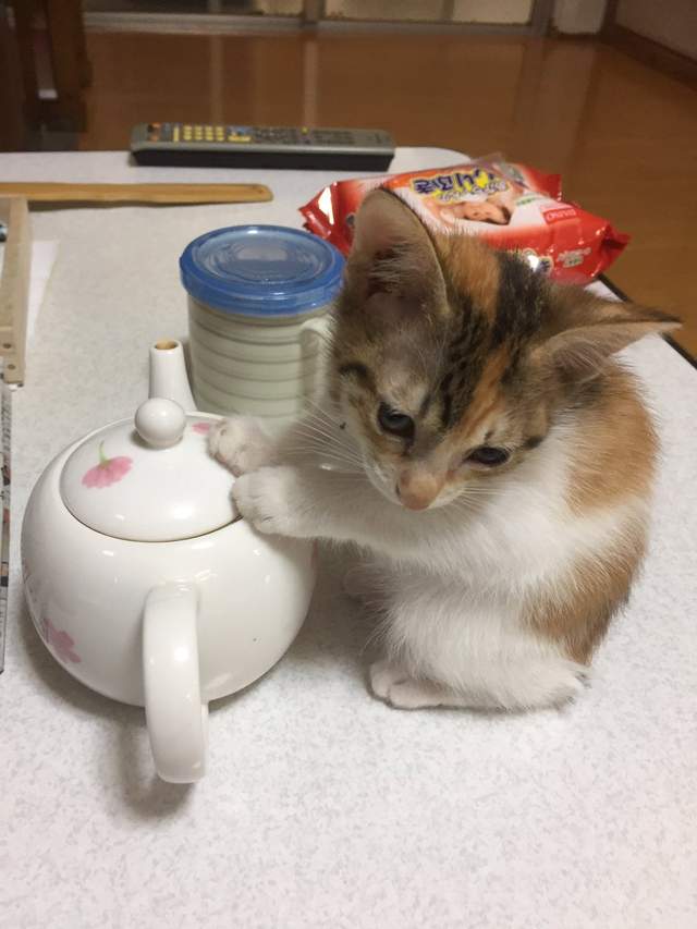 圖片4 圖片4