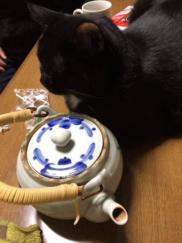 圖片5 圖片5