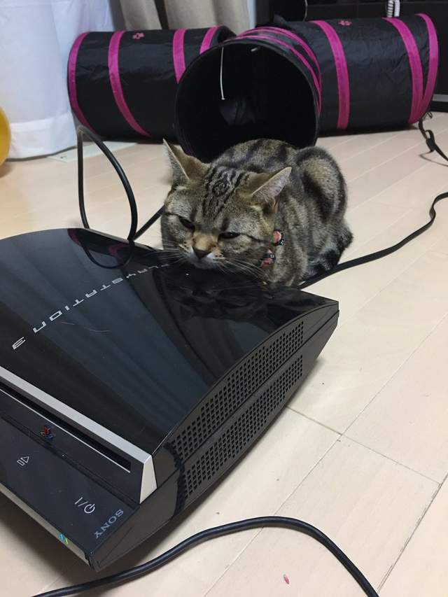 圖片7 圖片7