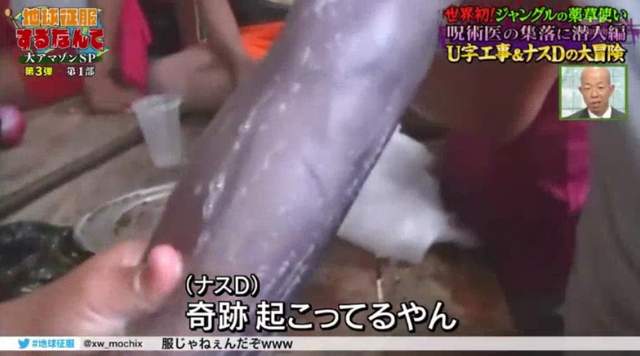 圖片9 圖片9