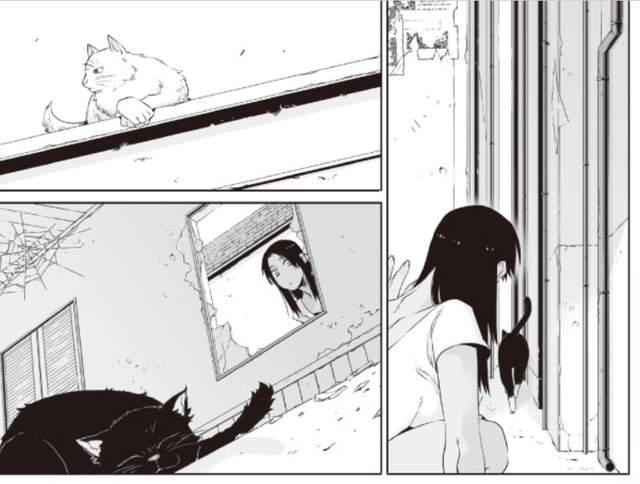 圖片5 圖片5