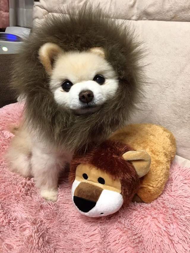 圖片10 圖片10