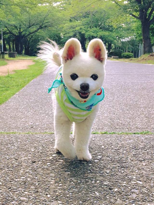 圖片4 圖片4