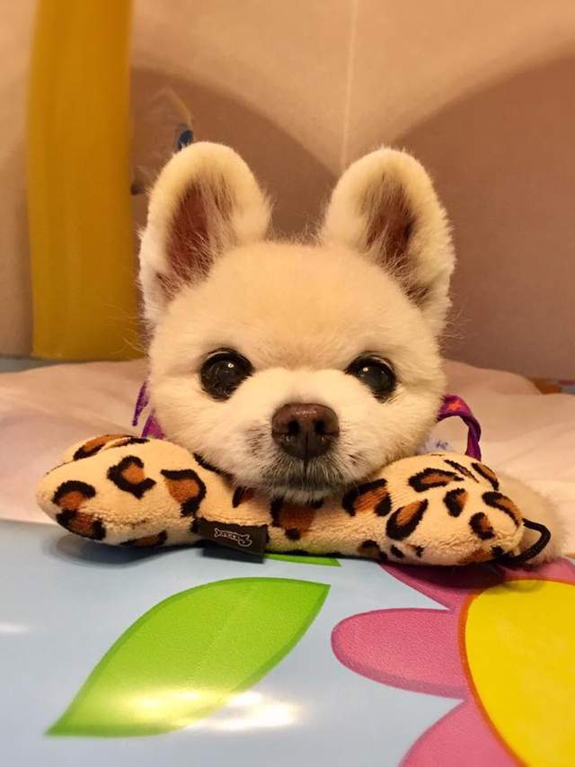 圖片6 圖片6