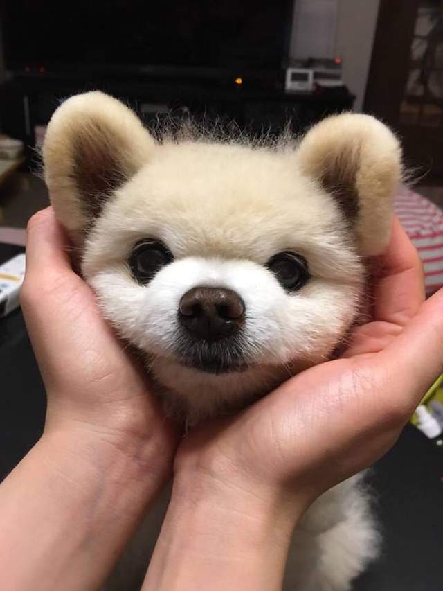 圖片7 圖片7