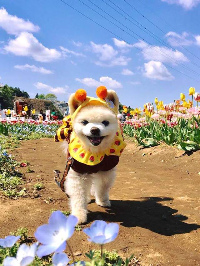 圖片8 圖片8
