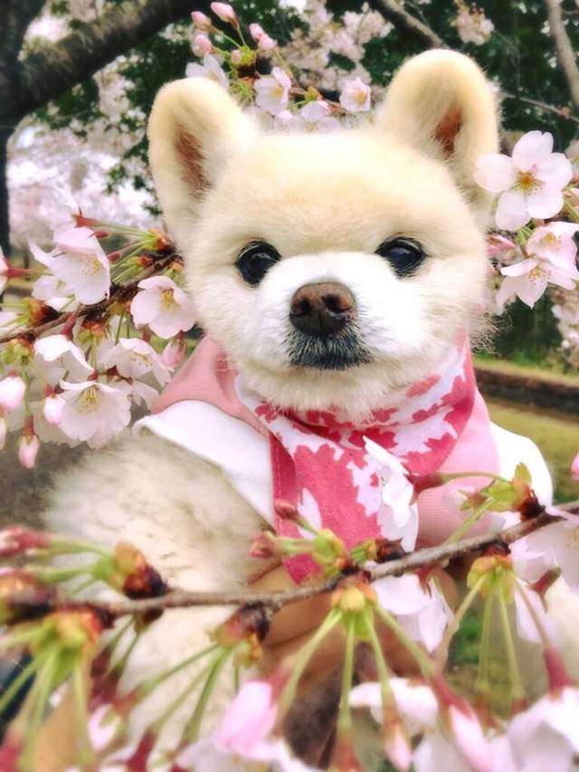 圖片9 圖片9