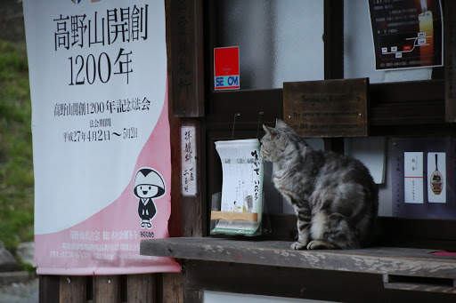 圖片8 圖片8