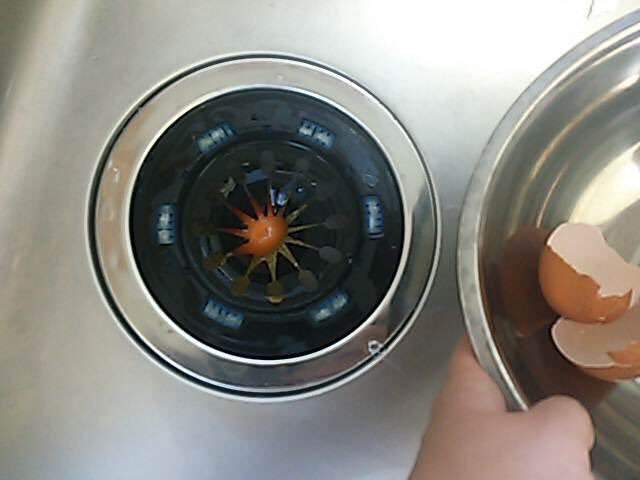 圖片12 圖片12