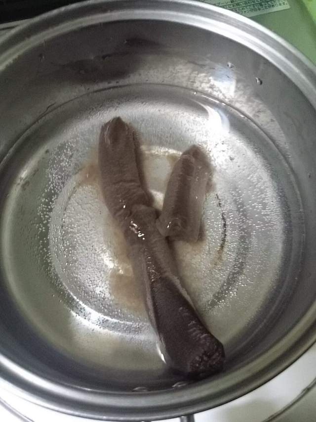 圖片18 圖片18