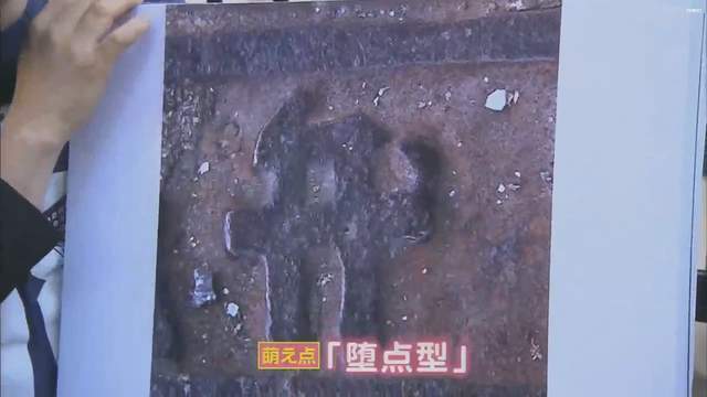 圖片24 圖片24