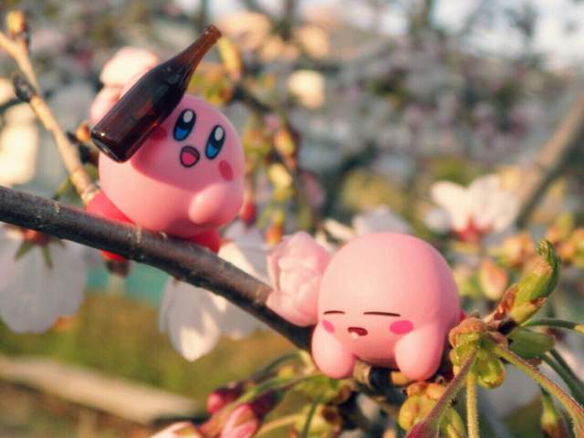 圖片8 圖片8