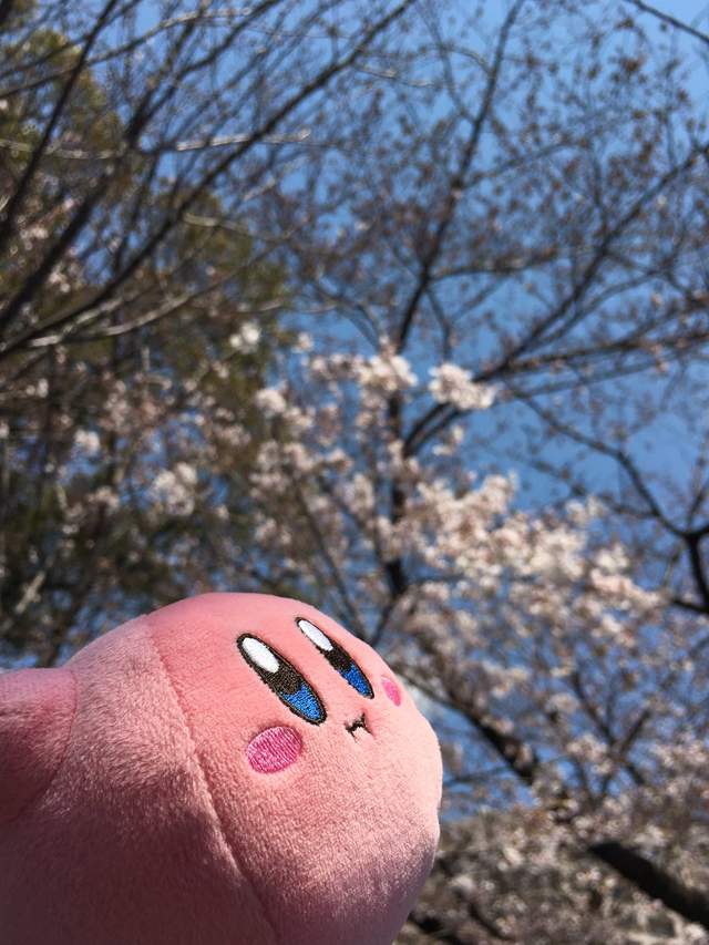 圖片9 圖片9