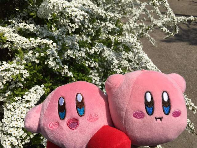 圖片10 圖片10