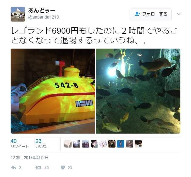 圖片17 圖片17