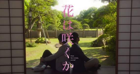 圖片10 圖片10